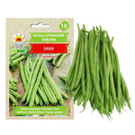 Zielona fasolka szparagowa Saxa karłowa - nasiona 30 g - Toraf